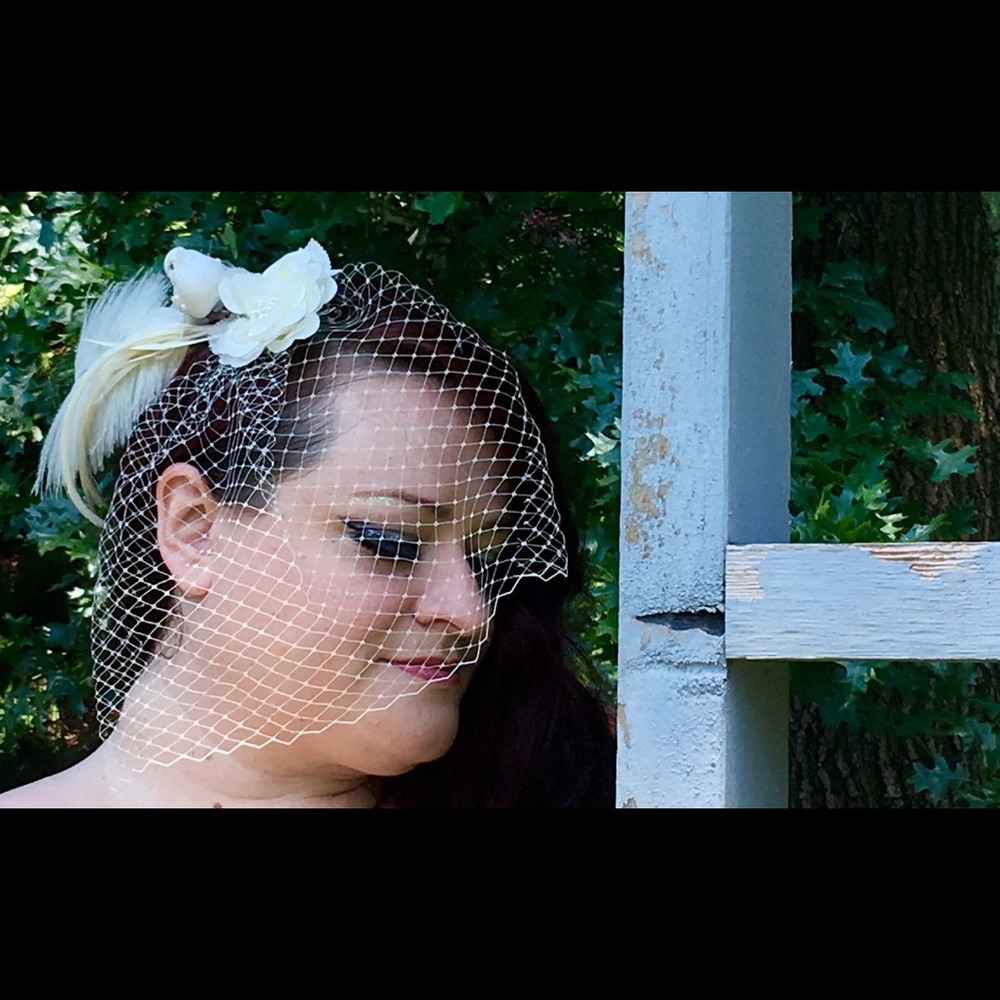 White & Ivory Birdcage Wedding Veil with Dove